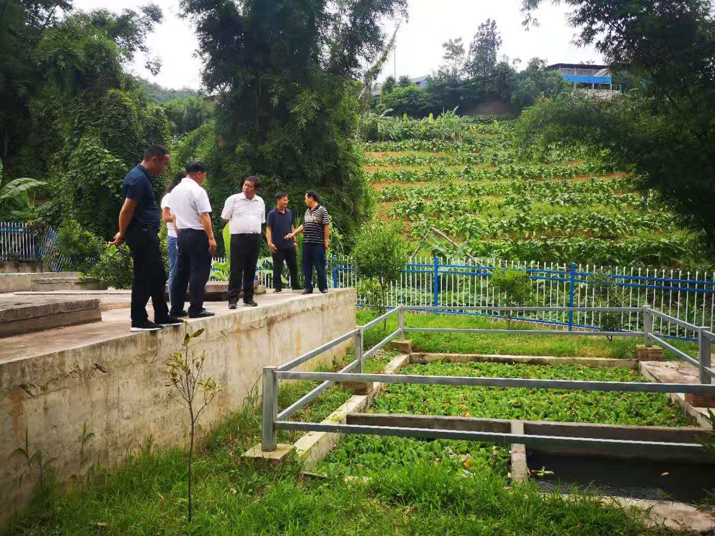 云南永德縣美麗鄉村污水處理設備